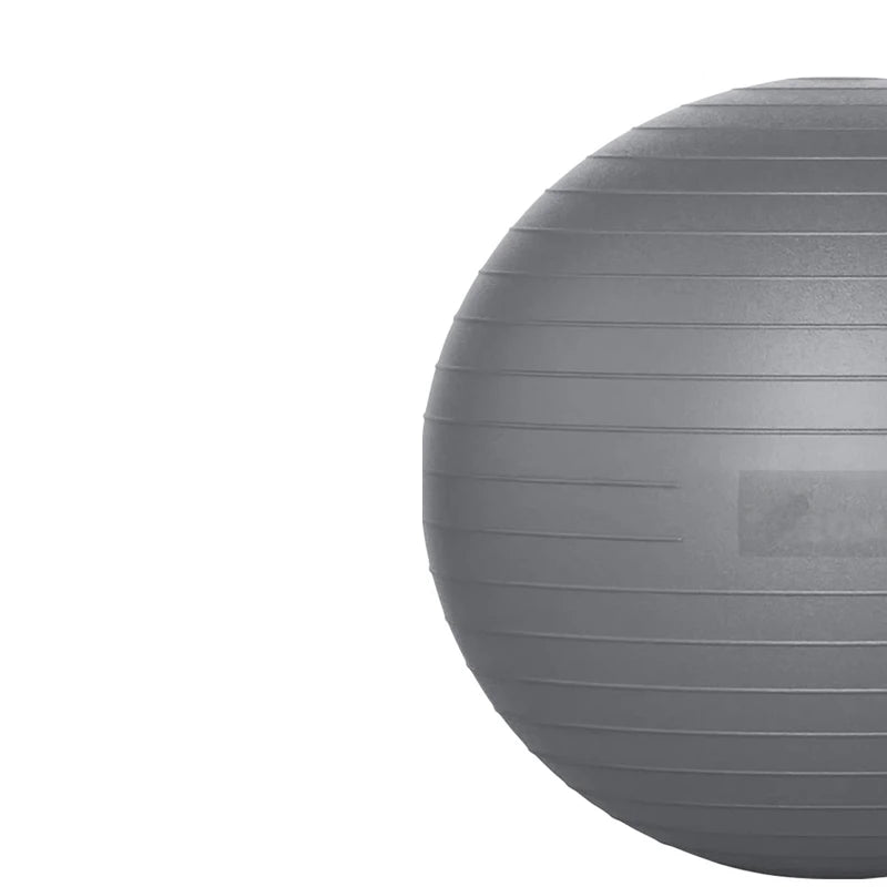 Impact Gym Ball 360 - BalanceFit