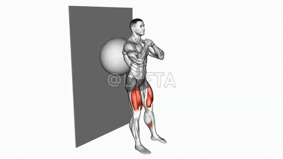 Squat mural sur Gym Ball 360 - BalanceFit