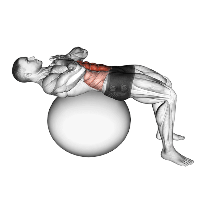 Crunch sur Gym Ball 360 - BalanceFit