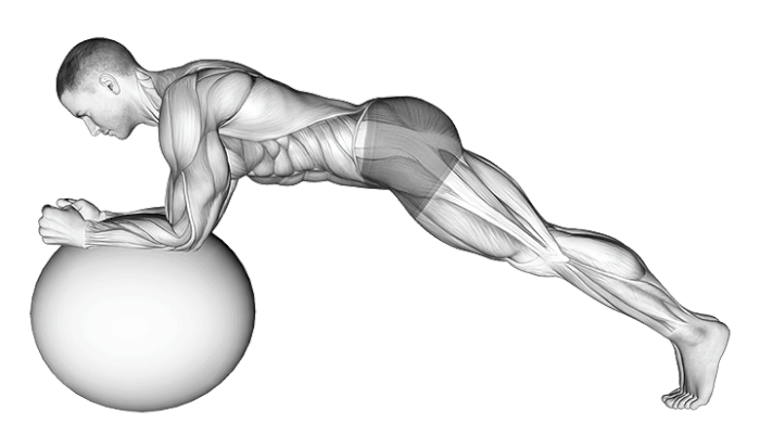 Gainage sur Gym Ball 360 - BalanceFit